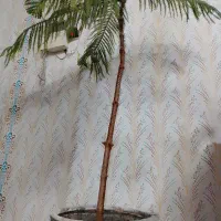 گلدان و گل مطبق|گل و گیاه طبیعی|مشهد, سپاد|دیوار