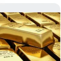 برنامه ملی گلد