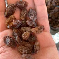 پخش عمده کشمش و مویز ( ارمی )|عمده‌فروشی|شیراز, ستارخان|دیوار