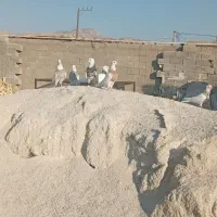 پرنده کبوتر|پرنده|رامهرمز, |دیوار