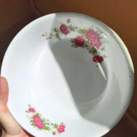 ست مرغ خوری و دیس گل سرخی