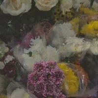 نقاشی دیجیتال