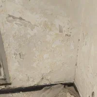 نقاشی ورنگ آمیزی ساختمان|خدمات پیشه و مهارت|بم, |دیوار