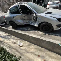 ۲۰۶ اس دی مدل ۹۳ v8