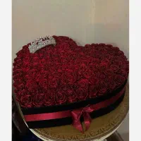 گل رز قرمز