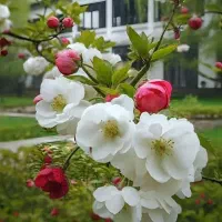 کار در منزل