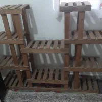 استند گل|گل و گیاه طبیعی|اهواز, بهارستان|دیوار