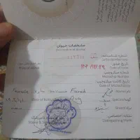 سلام دوستان عزیز