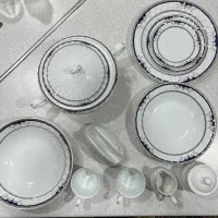 ظروف چینی