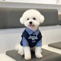 لباس حیوانات خانگی