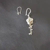 گوشواره طلا گمشده