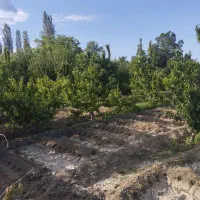 باغچه در روستای شیخ سرمست|فروش زمین و ملک کلنگی|ارومیه, |دیوار