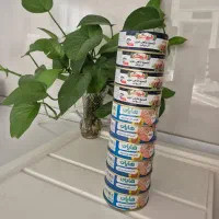تن ماهی|خوردنی و آشامیدنی|شیراز, دشت چنار|دیوار