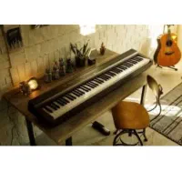 تدریس خصوصی موسیقی(گیتار،پیانو،خوانندگی)