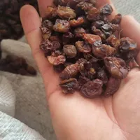 کشمش آفتابی