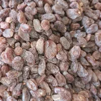 کشمش بیدانه