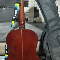 گیتار هوهنر پیکاپ دار|گیتار، بیس، امپلیفایر|چناران, |دیوار