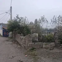 زمین۲۸۵متر سندثبتی تالش ترشابر|فروش زمین و ملک کلنگی|تالش, هشتپر|دیوار