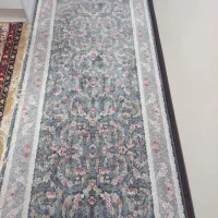 فرش و تو راهرویی|فرش|بندرعباس, |دیوار