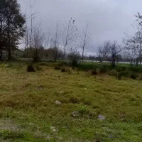 ۲۶۰ متر زمین باغی با ویوی شالی و دریا،فروش تا جمعه