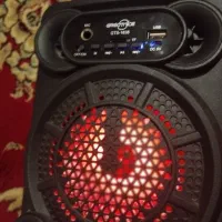 اسپیکر فلش خوردارای رقص نور