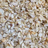 سیر خشک|عمده‌فروشی|گناباد, |دیوار