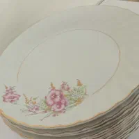 ۱۲ عدد بشقاب چینی گل صورتی|ظروف سرو و پذیرایی|فولادشهر, A3|دیوار