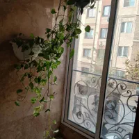 ۹۰متر فول محسن آزادی صیاد|اجارهٔ آپارتمان|تهران, ارامنه|دیوار