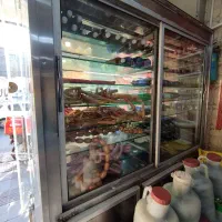 یخچال ویترینی دومتری