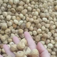 انجیر سالم وارگانیک  تویسرکان