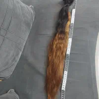 خرید مو بانوان (مهدوی)صادرکننده بدون واسطه|آرایشی، بهداشتی، درمانی|نیشابور, هفده شهریور|دیوار