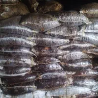 رهن اجاره مشارکت کارخانه رب شیره خرما صنعتی اصفهان