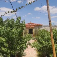 فروش باغ فوری