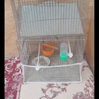 قفس