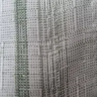 نیروی خدماتی بانو