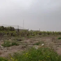 فروش زمین ۶۰۰ متری در لنگرود|فروش زمین و ملک کلنگی|قم, جمکران|دیوار