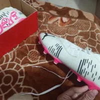 کفش چمن سایز 42 پوما فیوچر|کیف، کفش، کمربند|گلبهار, شهر جدید گلبهار|دیوار