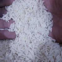 برنج طارم هاشمی مازندران|خوردنی و آشامیدنی|تهران, نظام‌آباد|دیوار