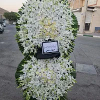 گلسرای ایرانیان