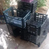 سبد