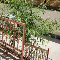 ویلایی دوبلکس ۲۶۰ متری در گلدشت|فروش خانه و ویلا|بروجرد, |دیوار