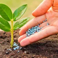 کلیه کار های باغبانی