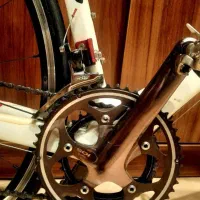 دوچرخه کورسی جاینت کربن. اسکات|دوچرخه، اسکیت، اسکوتر|تهران, گیشا|دیوار