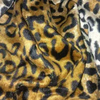 پالتو|لباس|تربت جام, مسکن مهر|دیوار