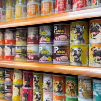 پت شاپ تخصصی حیوانات خانگی