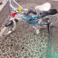 دوچرخه ۱۶ سالم.