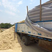 کاه الیگودرز