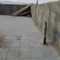 واگذاری ژرمن شپرت ماده