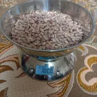لوبیا چیتی