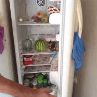 یخچال دو قلو|یخچال و فریزر|خشکبیجار, |دیوار